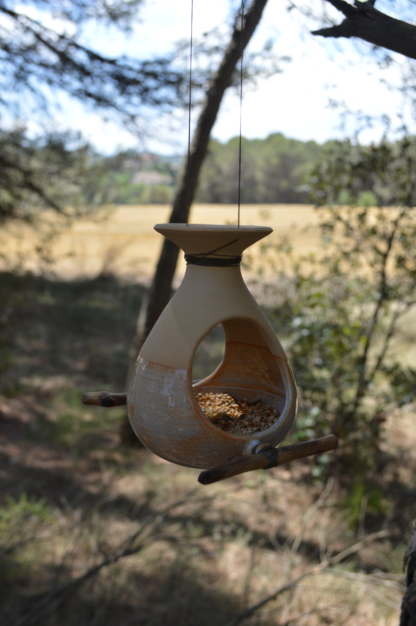 Menjadores per ocells